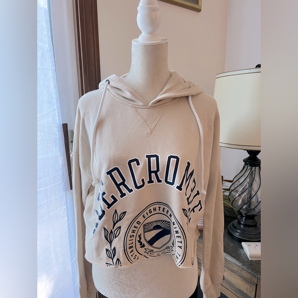 Abercrombie & Fitch Cropped Hoodie